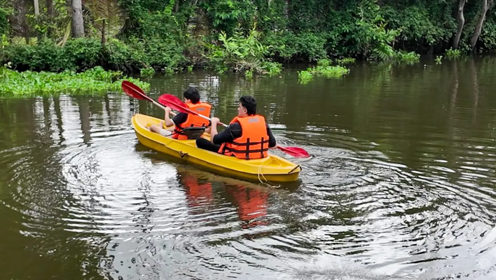 Backwater Kayaking 3