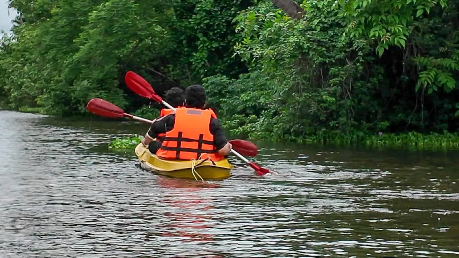 Backwater Kayaking 2