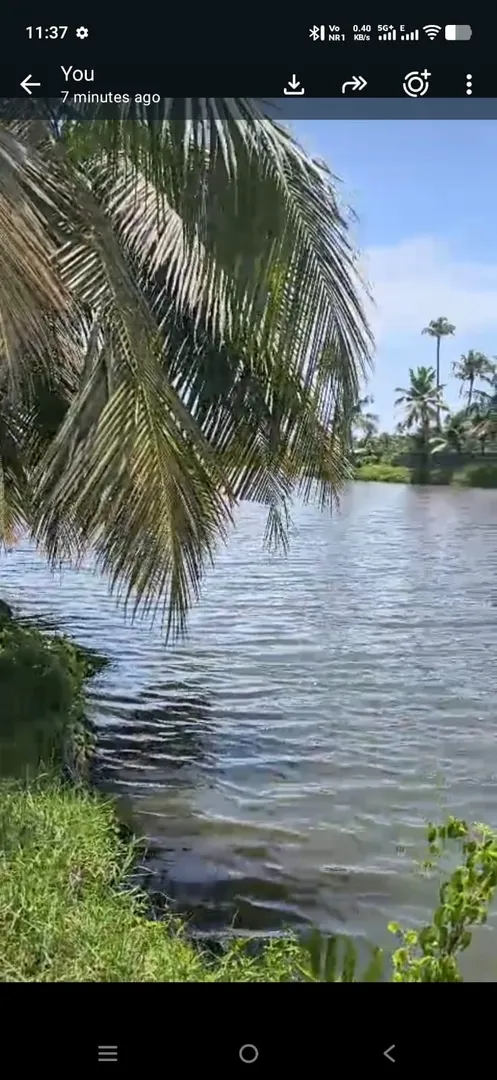 Shrimp Farm Visit 1