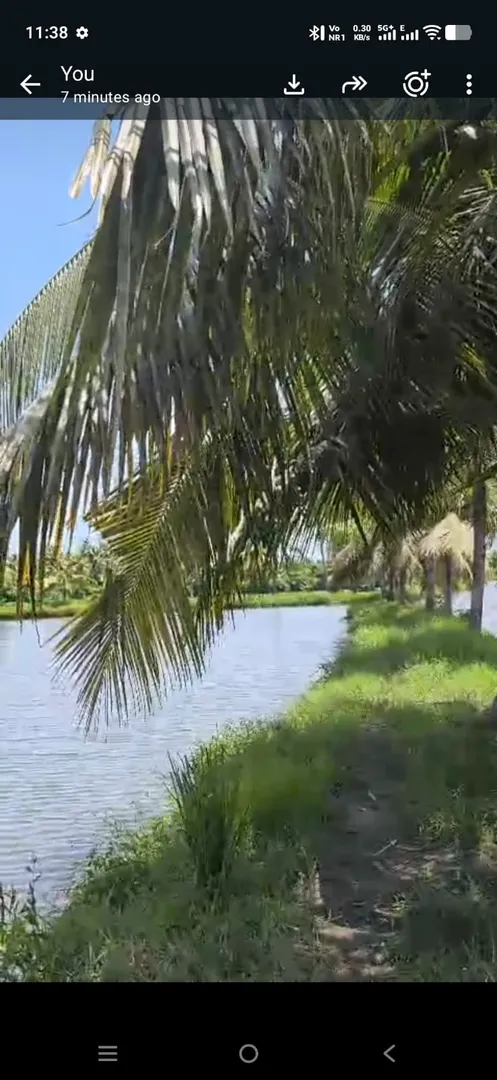 Shrimp Farm Visit 2