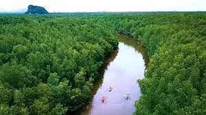 Kayaking Adventure