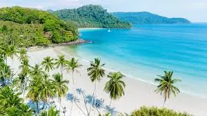Pristine Beach Time