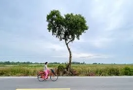 Cycling Adventure