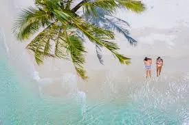Private Beach Relaxation