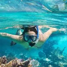 Pristine Water Swimming