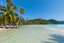 Relaxing Beach Time
