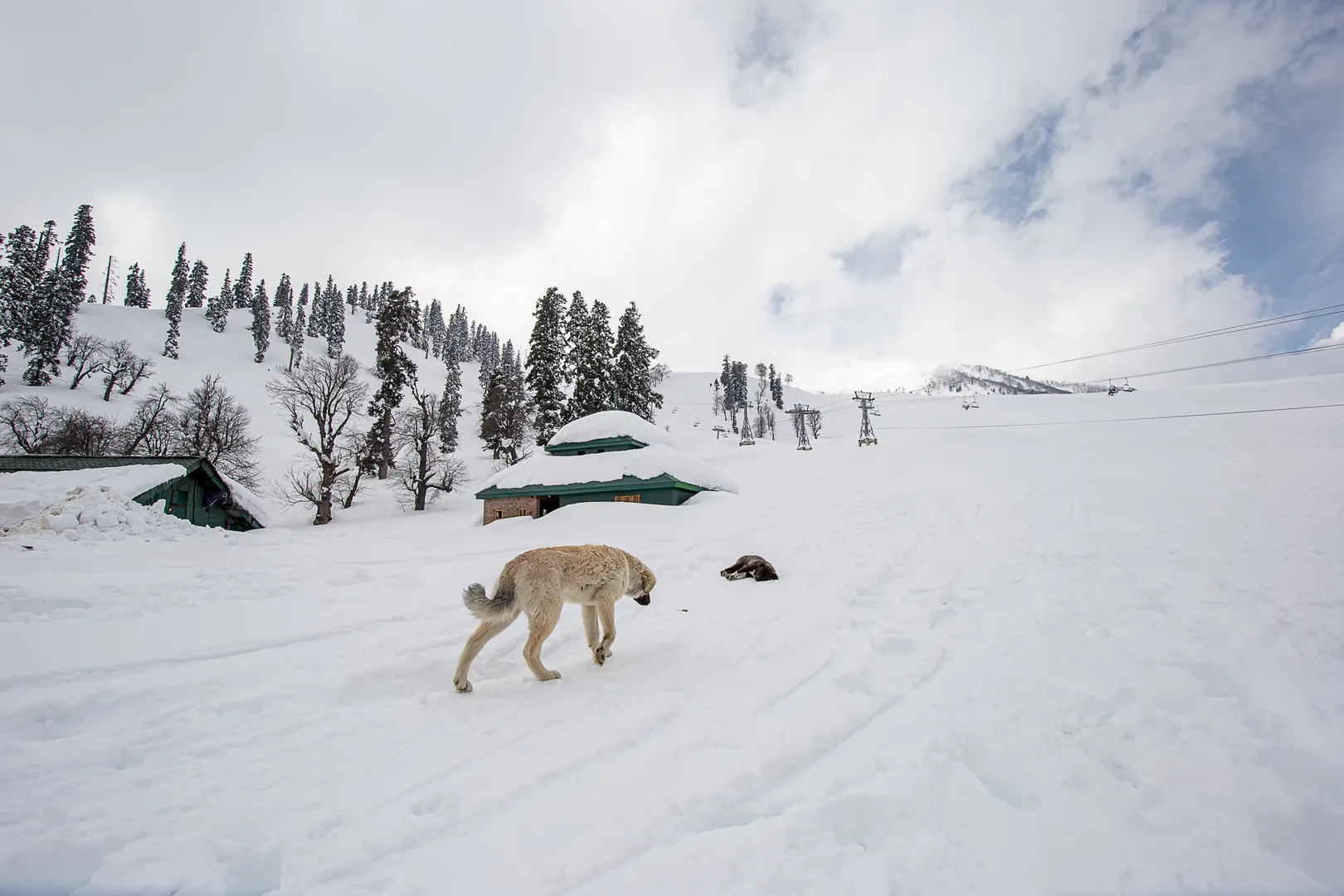 Activity image 2