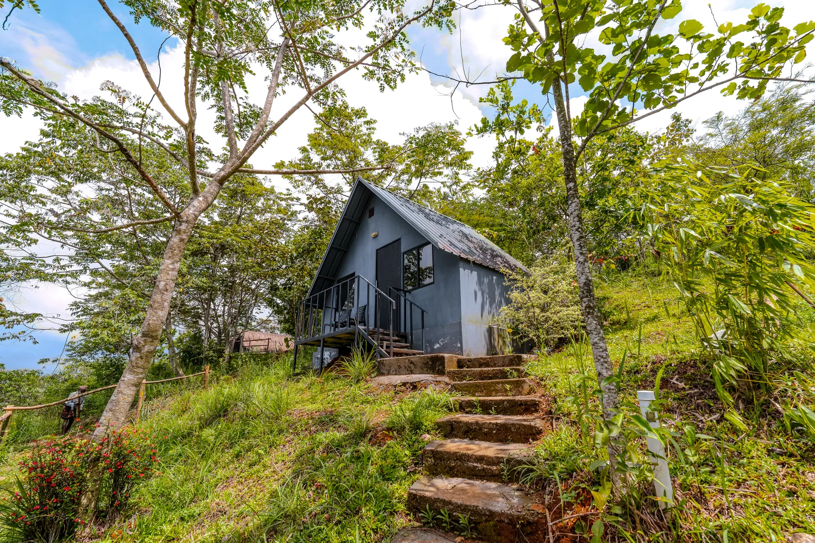Star Villa 5