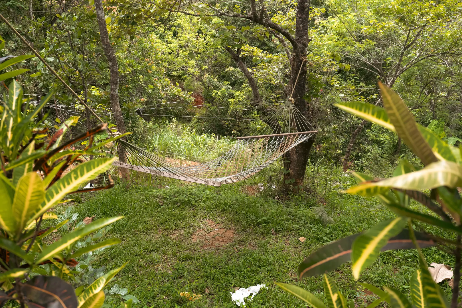 Activity image 14
