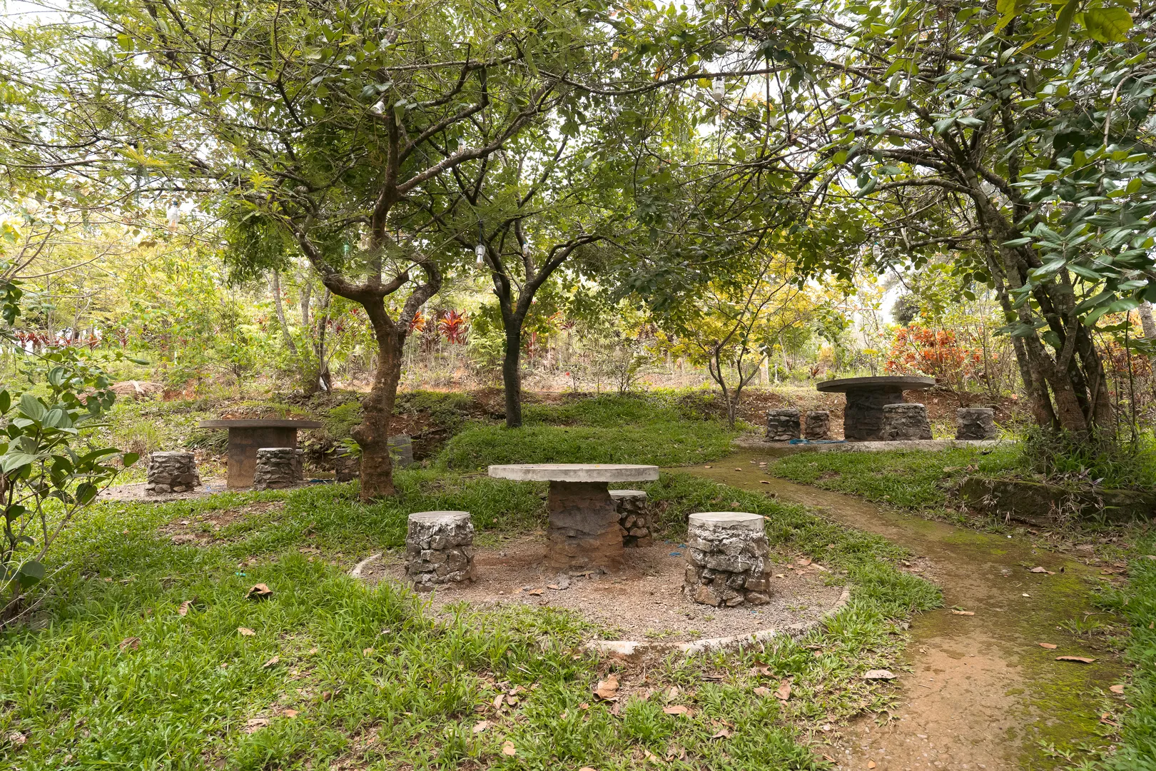 Activity image 10