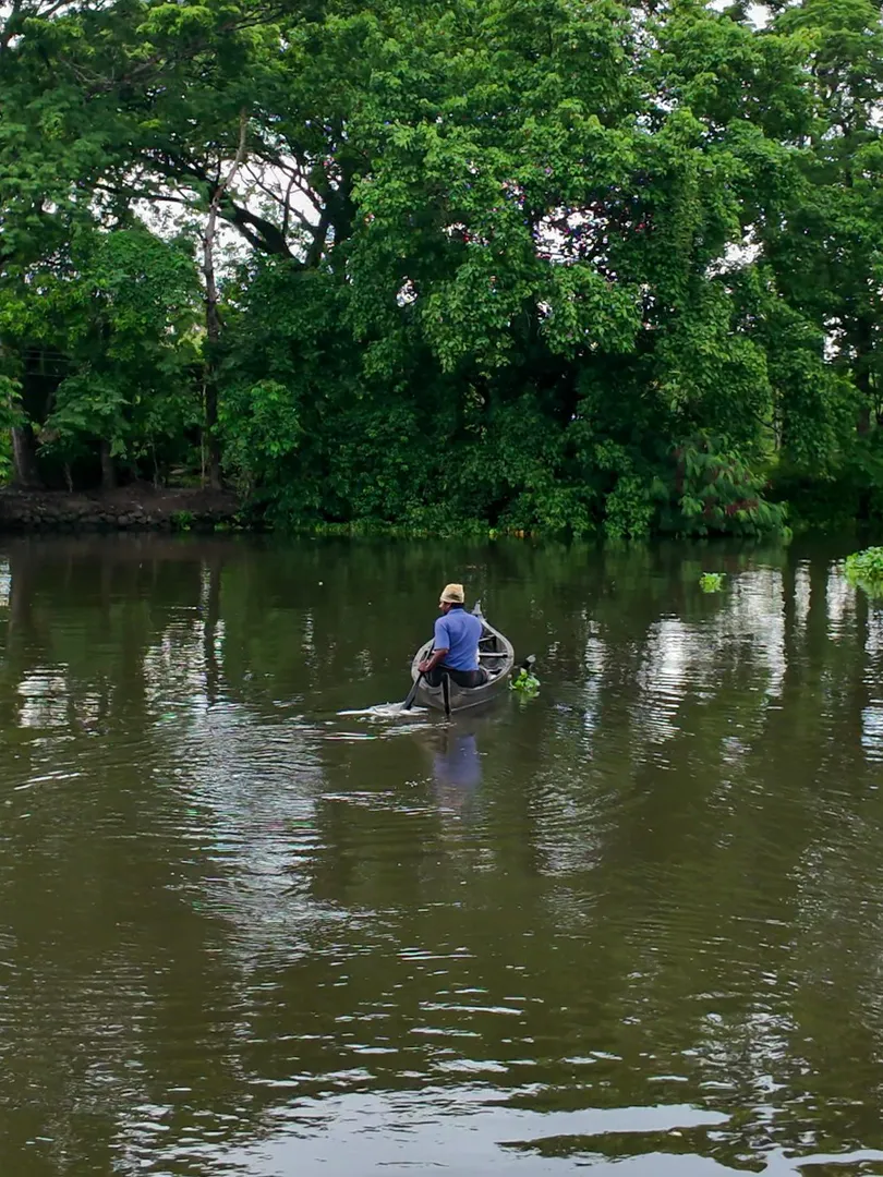Activity image 2